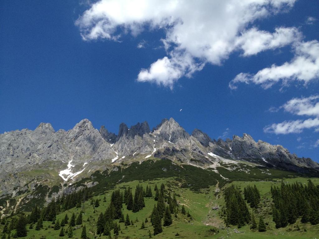 Affittacamere Alpenhof Schwaiger - Garni 3*