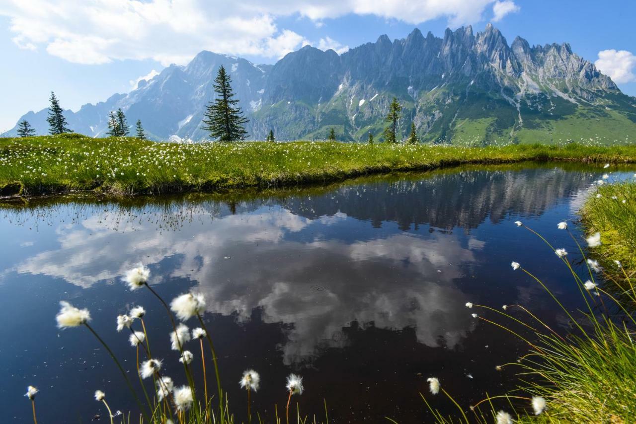 Alpenhof Schwaiger - Garni Affittacamere 3*
